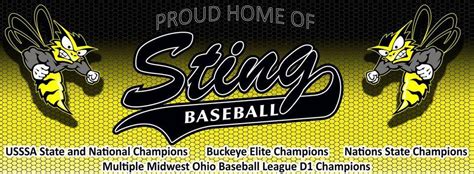 dayton sting baseball|TeamPages .